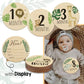 Conjunto 7 Placas de Madeira para Fotografia Mensal do Bebé