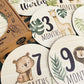 Conjunto 7 Placas de Madeira para Fotografia Mensal do Bebé